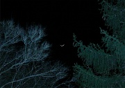 23rd Feb 2012 - ♫ Moon Sliver
