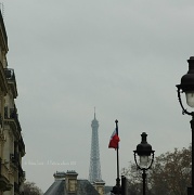 23rd Feb 2012 - Hide & seek Eiffel Tower #15