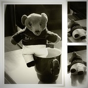 18th Feb 2012 - Mr Ted mug balancing artiste