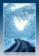 24th Feb 2012 - I Walk A Snowy Mile....