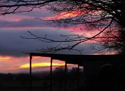 24th Feb 2012 - Oh what a beautiful morning.