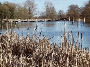 24th Feb 2012 - View Across the Lake