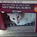 Cat-in-a-Box by marilyn