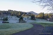 24th Feb 2012 - Winter Morning at Laurelwood Golf Course