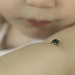 Pretty Bug by bella_ss
