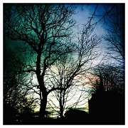 26th Feb 2012 - From the Bus-Stop