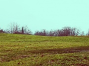 25th Feb 2012 - Landscape 