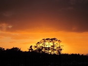25th Feb 2012 - Sunrise On Arrival In New Zealand
