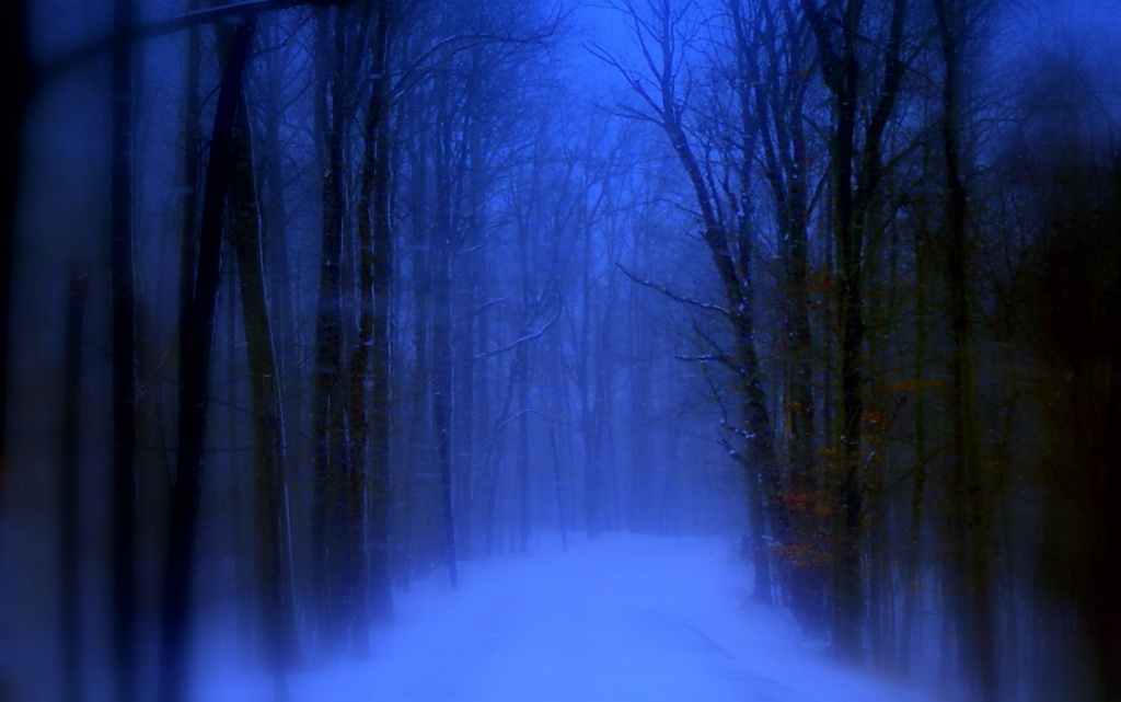 Winter Eden by yentlski