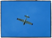27th Feb 2012 - Flying high