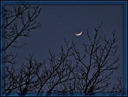 26th Feb 2012 - New Moon
