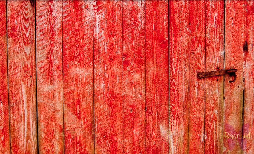A red door by ragnhildmorland