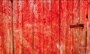 24th Feb 2012 - A red door