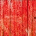 A red door by ragnhildmorland
