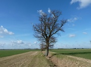 26th Feb 2012 - Big Sky