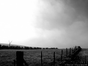 26th Feb 2012 - Landscape