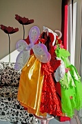 18th Feb 2012 - Fairytale Fashions