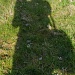 Me and My Shadow by harveyzone