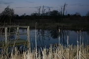24th Feb 2012 - Reflections at Dusk.