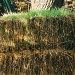 Grassy Bale by grammyn