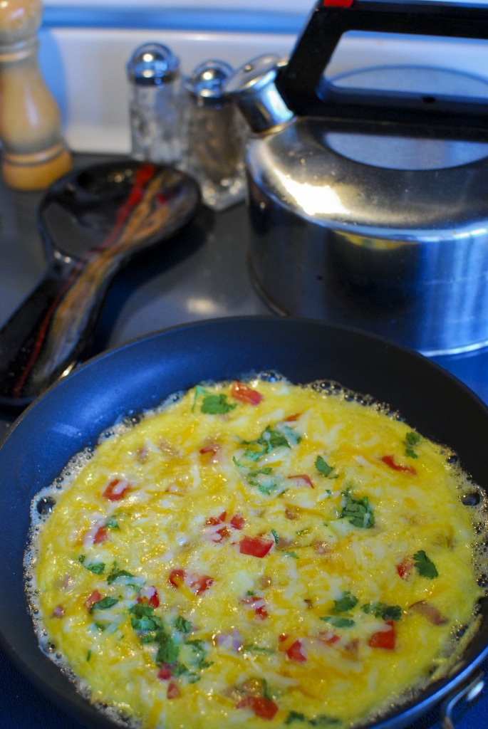 Morning omelette by ggshearron