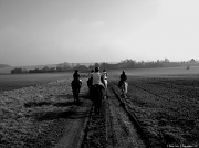 26th Feb 2012 - Horse-riding #3
