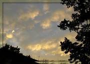 25th Feb 2012 - Clouds overhead