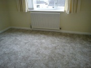 27th Feb 2012 - New carpet today!  