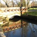 Bridge, Beddington Park by oldjosh