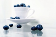 27th Feb 2012 - My Blueberry Nights
