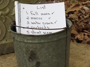 27th Feb 2012 - Bucket List