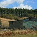 Neighbour"s Shearing Shed by wenbow