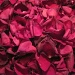 Rose Petals by dakotakid35