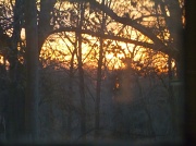 28th Feb 2012 - Sunset