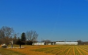28th Feb 2012 - Early Planting