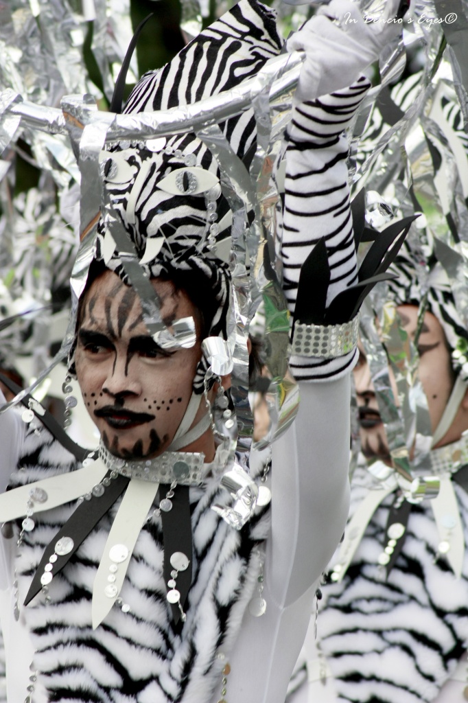 Dancing Zebras by iamdencio