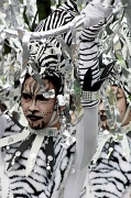 28th Feb 2012 - Dancing Zebras