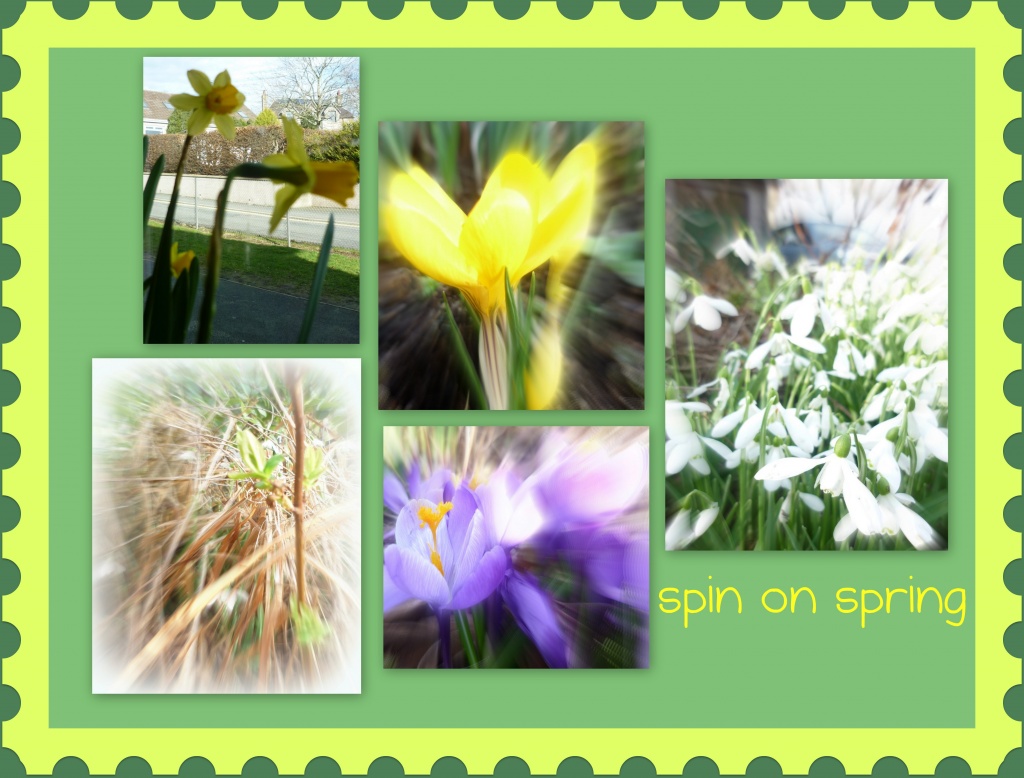 Spring bursting by sarah19