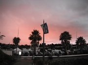 26th Feb 2012 - Pink Sky In Auckland