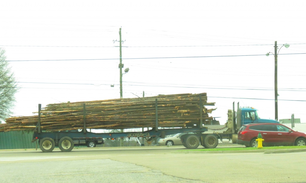 Logging Truck by grammyn