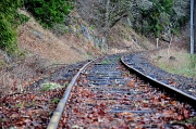 26th Feb 2012 - The Tracks Do Bend