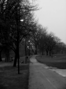 1st Mar 2012 - Misty Evening