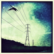 1st Mar 2012 - The Power of Flight