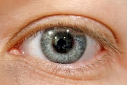 1st Mar 2012 - I Spy With My Little Eye