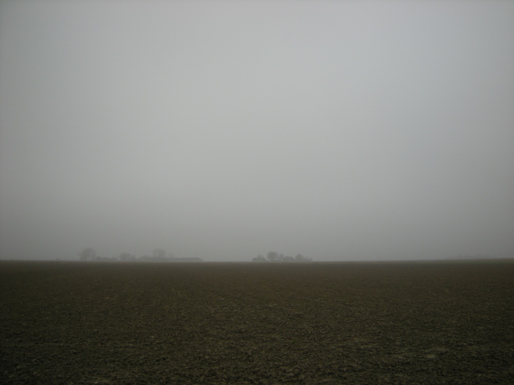 A foggy day  by pyrrhula