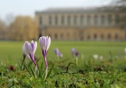 2nd Mar 2012 - The Wren Library
