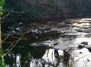 2nd Mar 2012 - River Tavy 