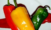 11th Jan 2010 - Peppers