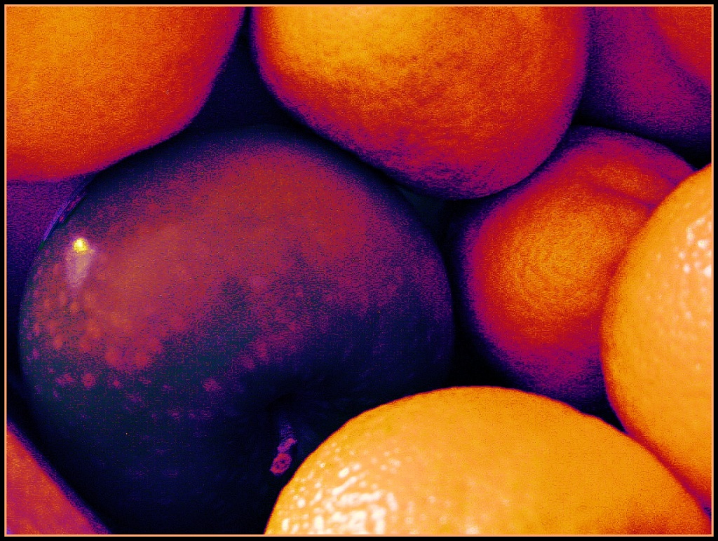 Fruit by olivetreeann