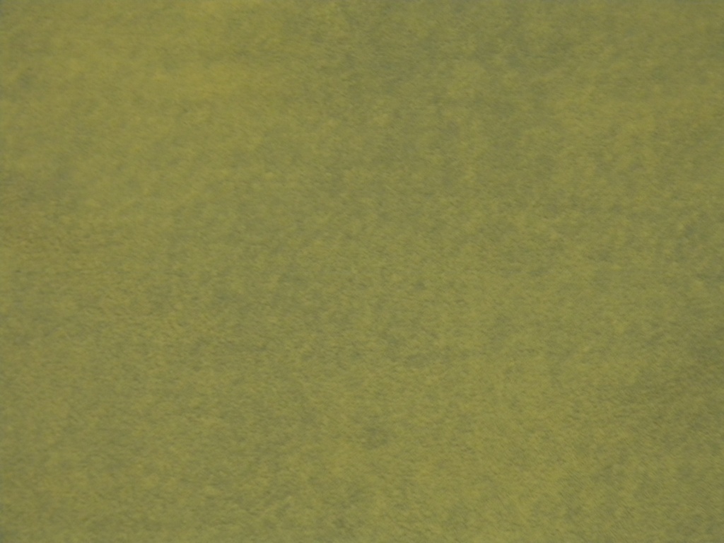 Olive Green Towel 2.27.12 by sfeldphotos